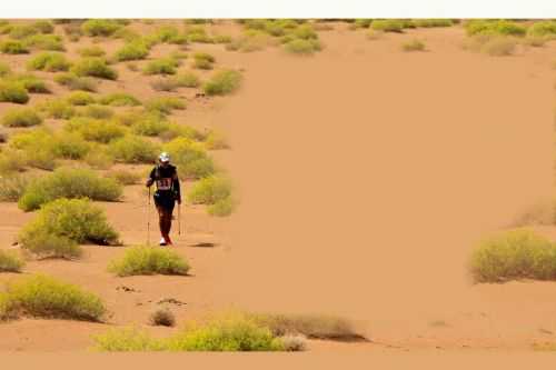 OMAN DESERT MARATHON | 165K 2014